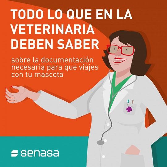 Mascotas: Todo Lo Que Debe Saber Tu Veterinario Sobre Los Requisitos ...