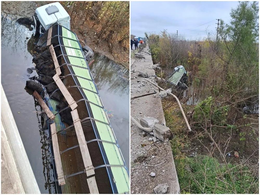 Camión despista, sale del puente y cae en Río Luján