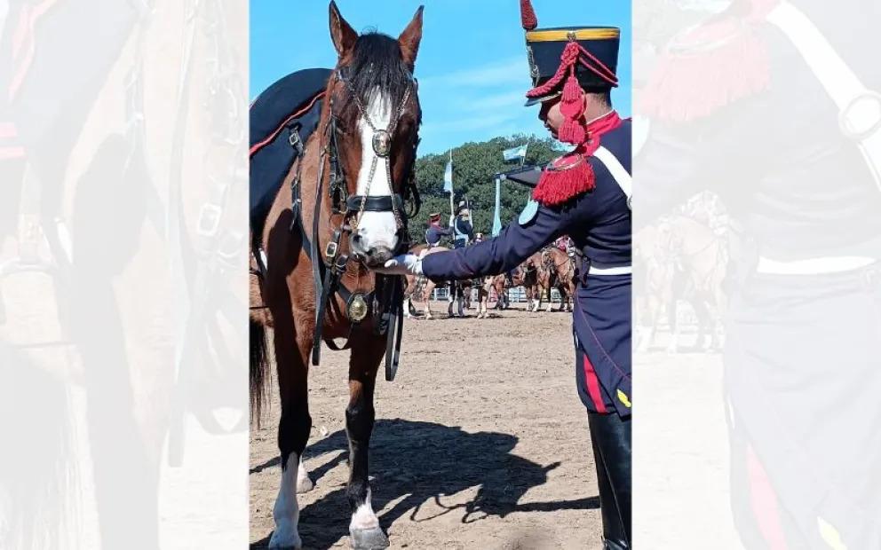 La cabaña "El Recuerdo" donó un caballo criollo al Regimiento de Granaderos