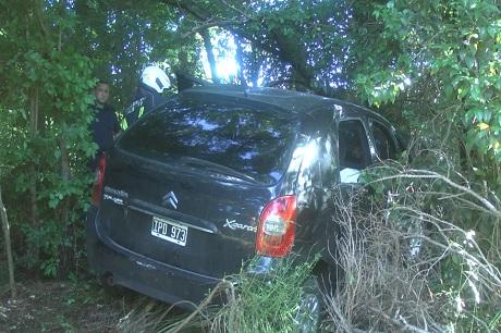 Despistó un coche y terminó en un monte