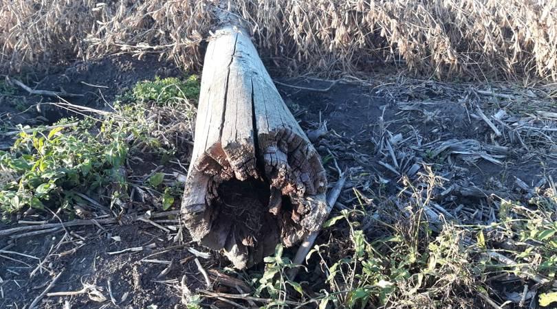 Vecinos de la zona rural de Rawson están sin luz desde el lunes a la madrugada